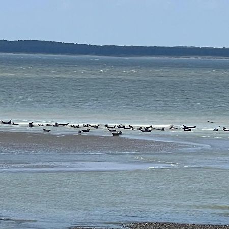 Plage A 50M Appartement Reves Bleus Villa Les Bains De Mers Экстерьер фото