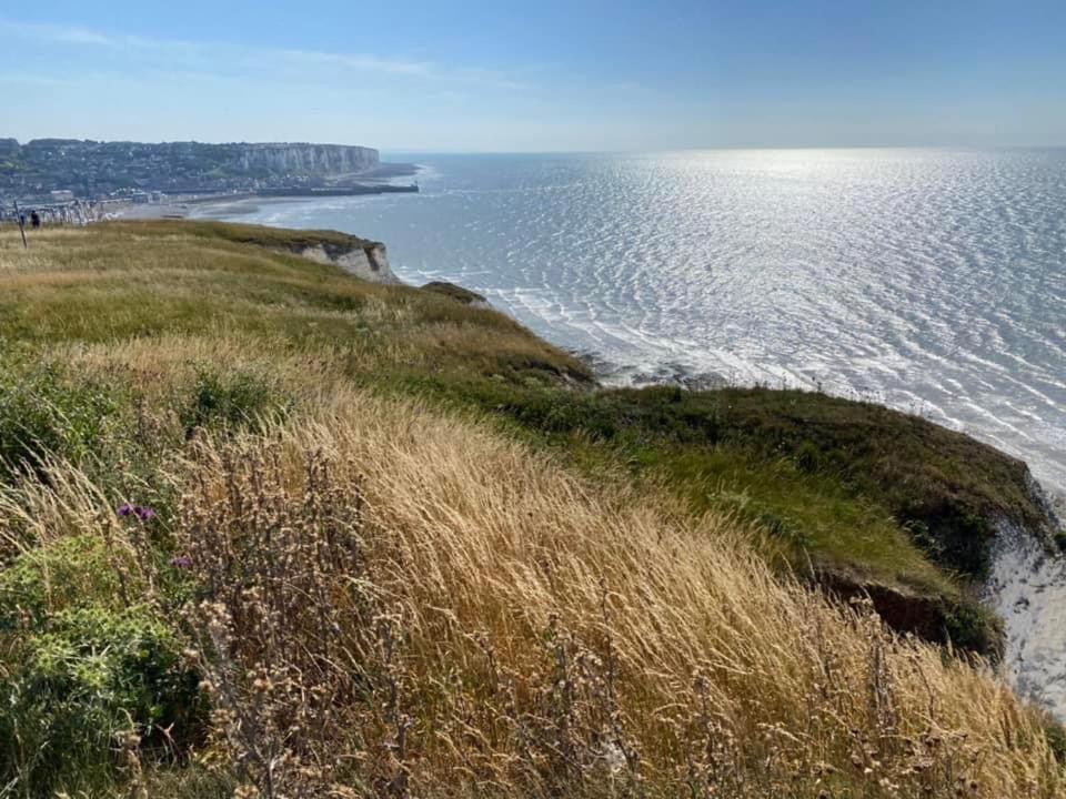 Plage A 50M Appartement Reves Bleus Villa Les Bains De Mers Экстерьер фото